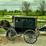 Amish carriage