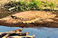 53509544_10216055020181419_3649929019924676608_n