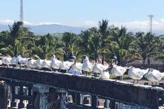 53538909_10216055018941388_408738538478108672_n