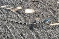 53544493_10216055019581404_7511303093762392064_n