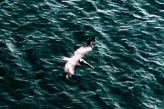 53551258_10216055026501577_6084181659979087872_n