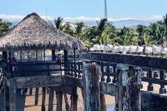 53560114_10216055019221395_2393782421649620992_o