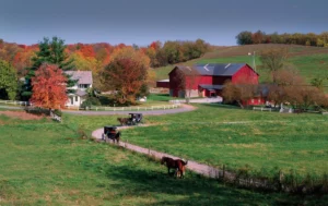 Yoder's Amish Farm